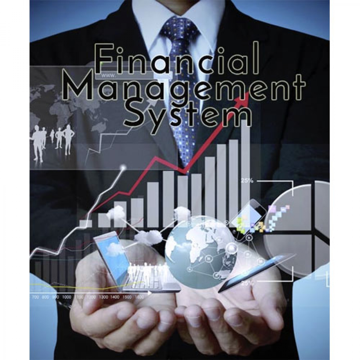 Financial Management System