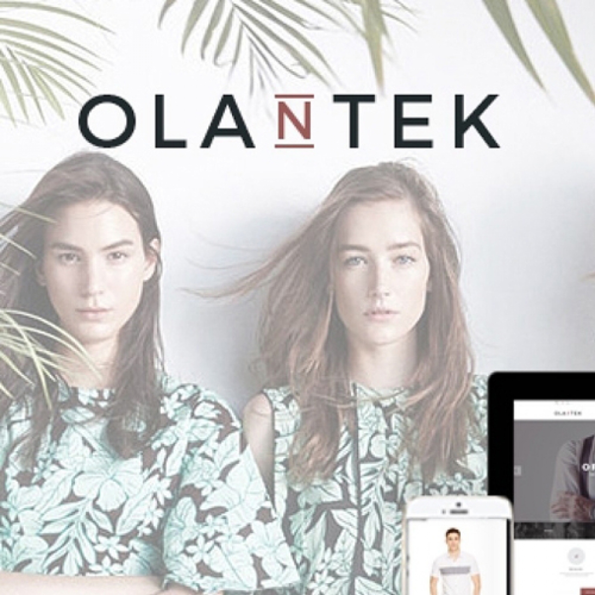 Olantek - Responsive  Theme